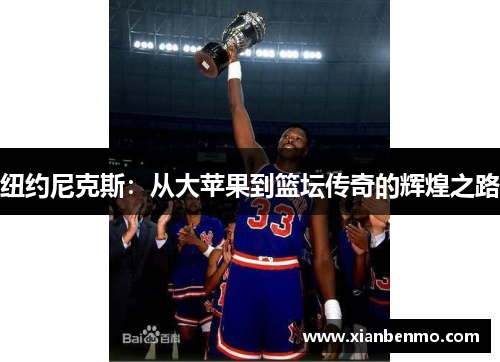 纽约尼克斯：从大苹果到篮坛传奇的辉煌之路